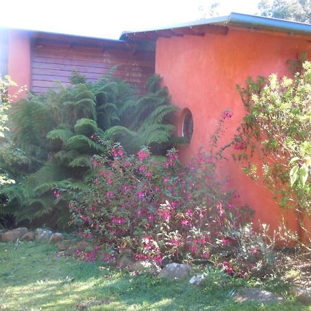 Whispering Spirit Holiday Cottages & Mini Ponies Franklin Exterior photo